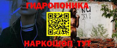 твердый Лесосибирск