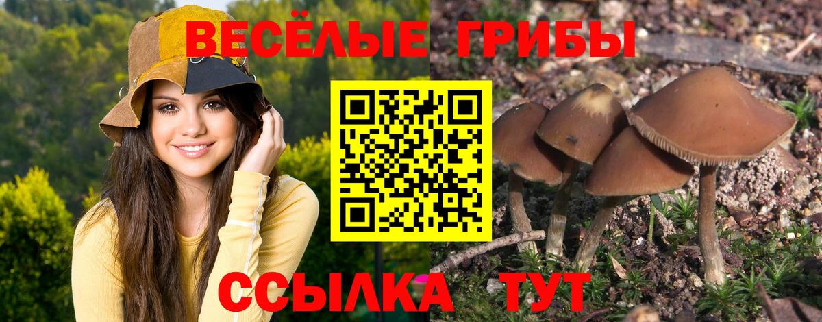 Псилоцибиновые грибы Magic Shrooms Верхняя Салда