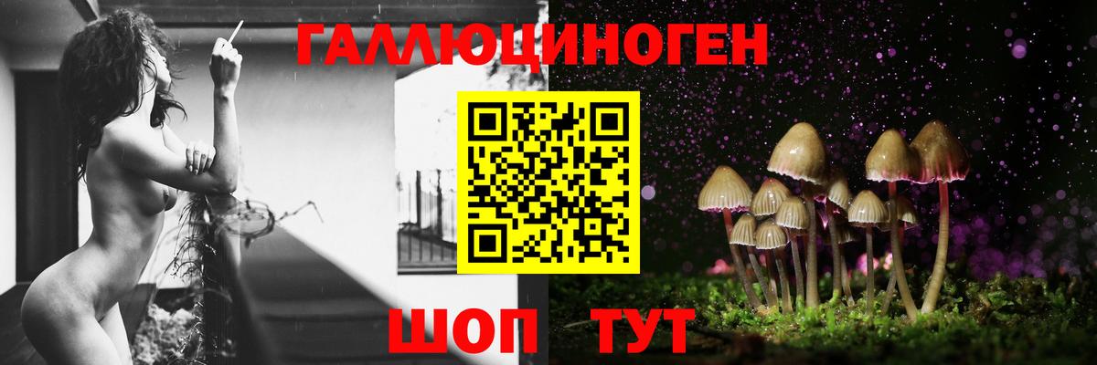Галлюциногенные грибы MAGIC MUSHROOMS  Вход с VPN  Верхняя Салда 